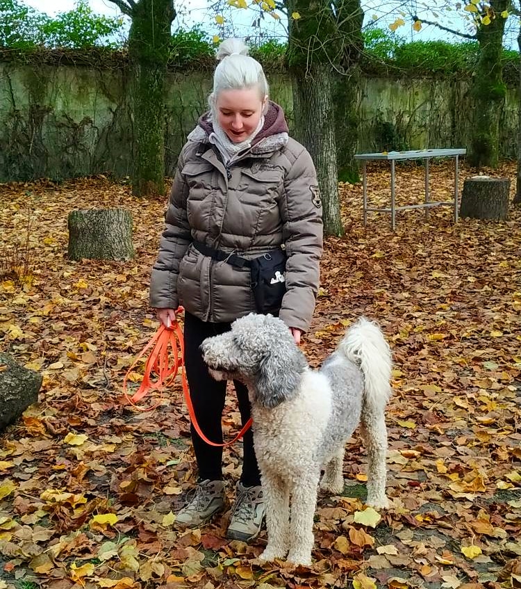 éducateur canin